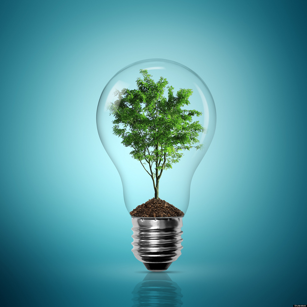 bulb-light-with-tree-inside-on-blue-background